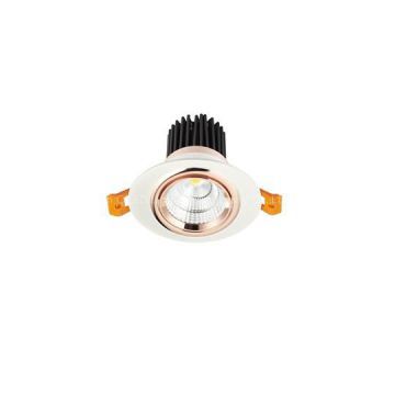 Golden COB Downlight