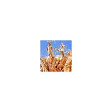 Ginseng extract(sales22 at lgberry dot com dot cn)