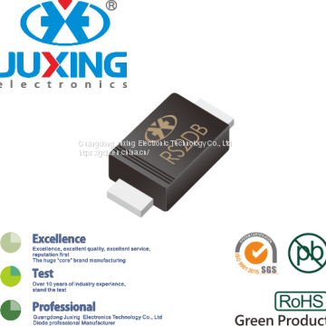 Factory Direct Sell RS2MBF Ultrathin Surface Mount Fast Recovery Rectifiers Diodes SMBF Case photo-2