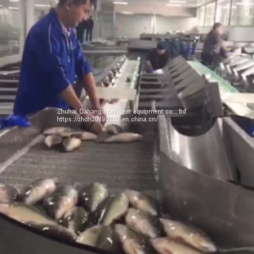 Multi-level Aquatic Product /Fish Weight Sorting Machine Weight Grader photo-4