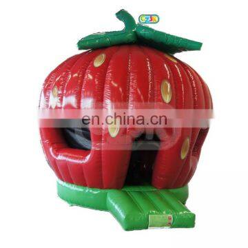 Strawberry Inflatable Jumper Bouncer Bounce House Jumping Bouncy Castle