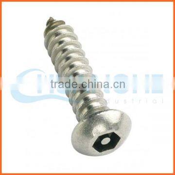 China supplier stainless steel 316 anti-theft screws