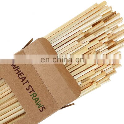 Disposable biodegradable wheat drinking straw for kids