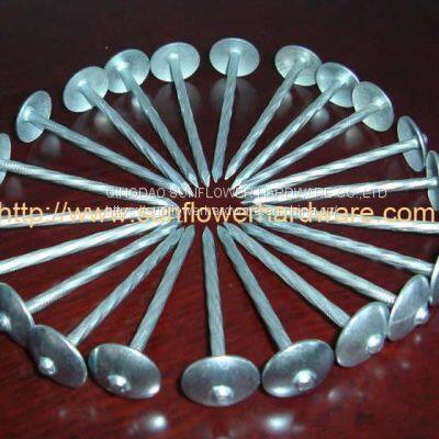 twisted umbrella head roofing nails