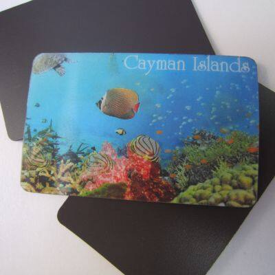 Souvenir Promotional Gifts 3D Lenticular Fridge Magnet photo-4