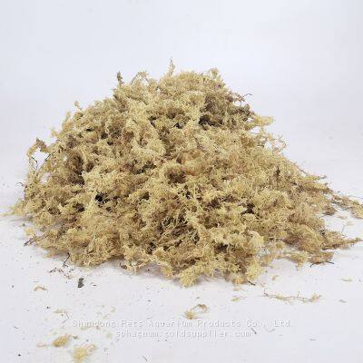 Natural Dried Sphagaum Moss Garden Supplies Moisturizing Nutrition Organic Fertilizer For Butterfly Orchid Flowerpot Decoration