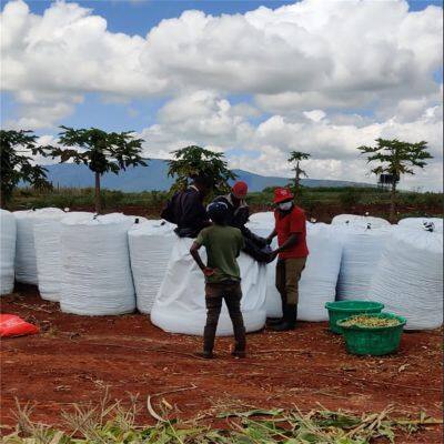 Black White Corn Silage Bags 50kg Silage Bags for Sale