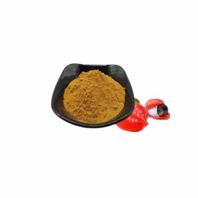 Guarana Extract Manufacturer, Nutritional Fortifier, Guarana Powder photo-2