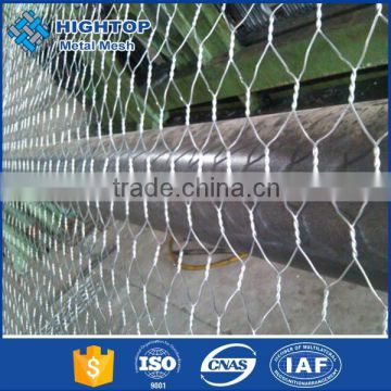 Hot-dipped galvanized/electro galvanized poultry wire mesh/hexagonal wire mesh for poultry