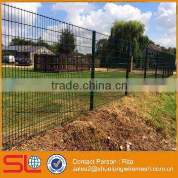 Green Double Wire Fencing for Garden