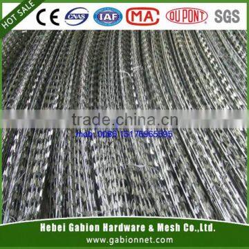 Hot dipped galvanized razor barbed wire