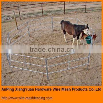 Best Cattle panel horse panel livestock yard for Australia standard