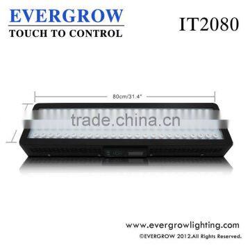Intelligent LED Aquarium Light IT Series 2080