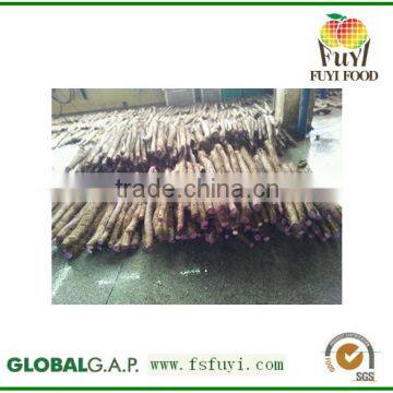 Factory supply best price Wild Yam