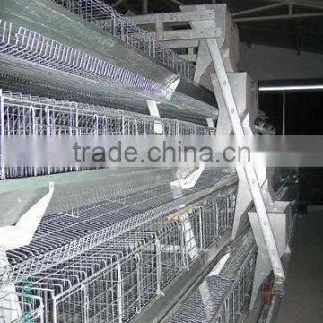 galvanized steel material automatic chicken feeder equipment