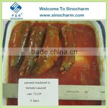 Canned Mackerel in Tomato Sauce