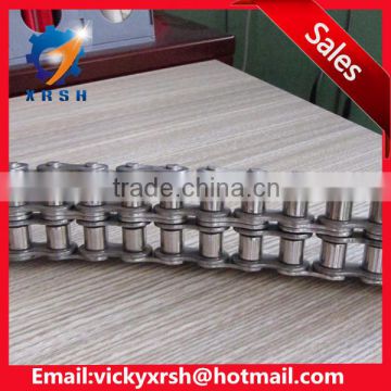 Duplex Stainless steel conveyor chain for transmission 24A-2,28A-2,32A-2,36A-2,40A-2,48A-2