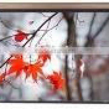 CE ROHS UL electric projection screen of OEM