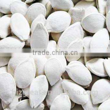 Roasted Snow White Pumkin Seeds With Salt Coat for Sale photo-5