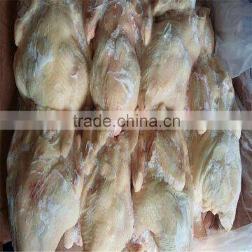 Frozen Halal Whole Chicken Without Head,neck,liver,feet photo-4
