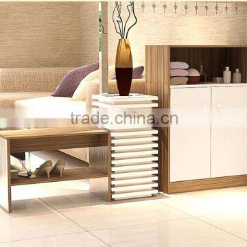 Practical modern shoe cabinet