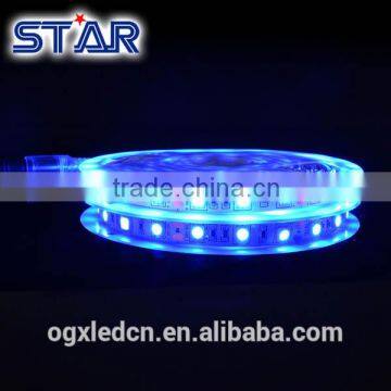 Tiras de LED 5050 Blue 300led 12V IP20