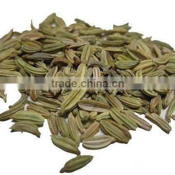 Fennel Seed