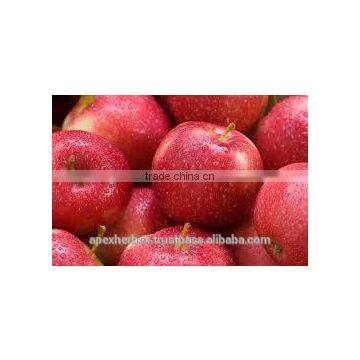 Apple Fruit Juice Powder / Apple Powder Spray Dried / Apple Fruit Juice Powder photo-3