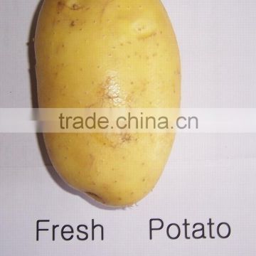 Factory supplying 2014 new crop fresh potato prices is good