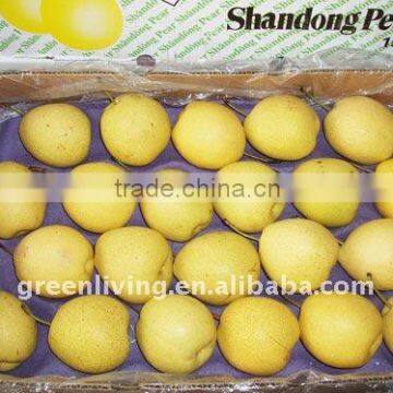 shandong pear in market