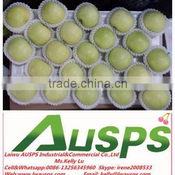 chinese fresh golden apple