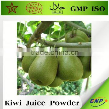 Kiwi Fruit Juice Powder