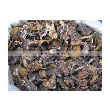 Detan Mushroom Dried Oyster Mushrooms photo-4