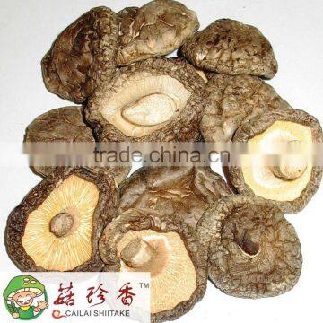 AA Quality Tea Flower Shiitake photo-2