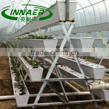 High quality Spinacia oleracea Planting trough for Vegetable