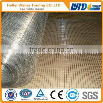 High quality cheap galvanized 5x5 welded wire mesh low price 5x5 welded wire mesh(CHINA SUPPLIER)