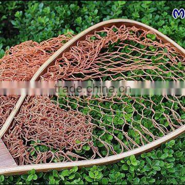 Carp Landing Net