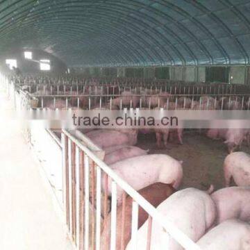 250mm PE Film Covered Single-Span Greenhouse For Cow/Pig Growing photo-6