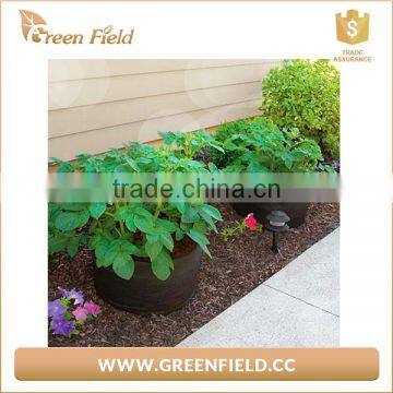 Wholesale Vegetable Felt Planter Bag Felt Potato/Carrot Planter Pots photo-5