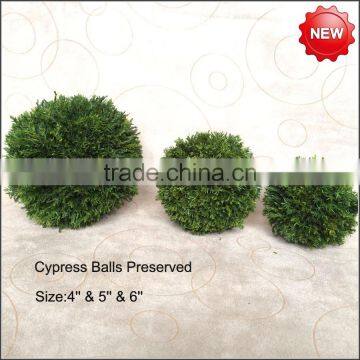 Cypress balls preserved