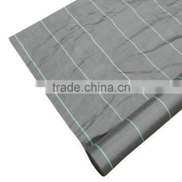 PP Ground Cover Non Woven Polypropylene Fabric photo-6