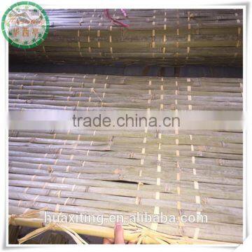 sukkah bamboo mats 1.6mX3.1m