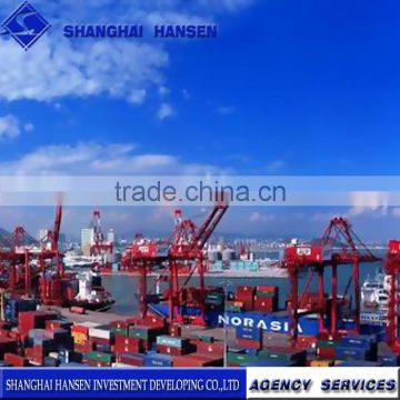 Shanghai Professional Import Export Agent china export