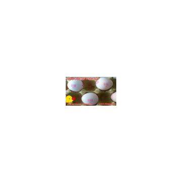 egg code inkjet printer