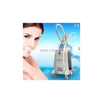 Newest technology:cryolipolisis machine/lose weight