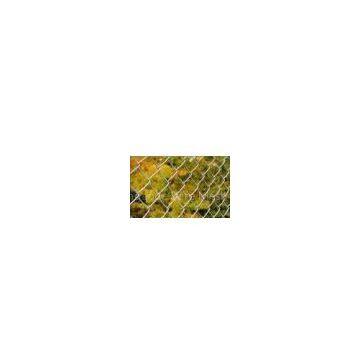 Chain link fence