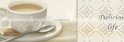 300x600mm Italian Design Exterior Wall Tile Discontinued Ceramic Floor Tile photo-5