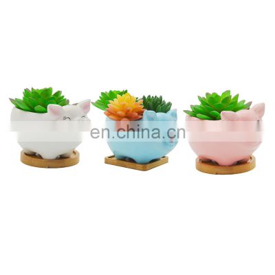 New Factory White Custom cute ceramic succulent flower planter pig shaped pot