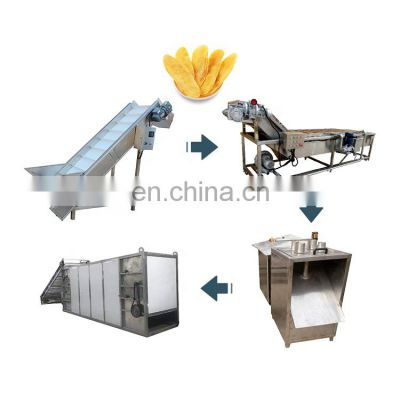 Hot Selling Strawberry Slices Drying Line Fruits Slices Mango Kiwi slices Drying Processing Line