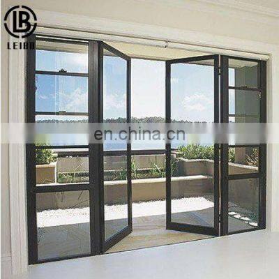 Double Swing Hinged and Casement Door with Clear Glass 12mm